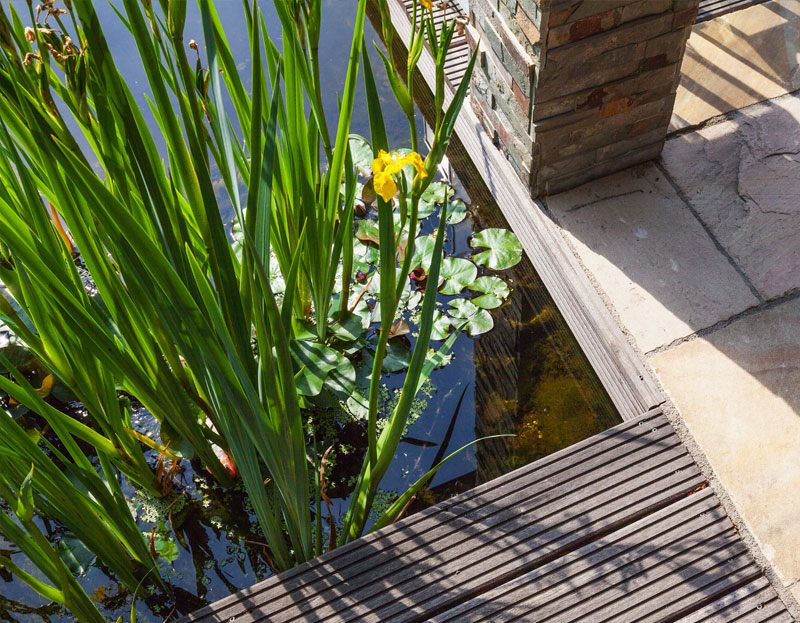 Teichbau und Terrasse Tulpe Garten- und Landschaftsbau